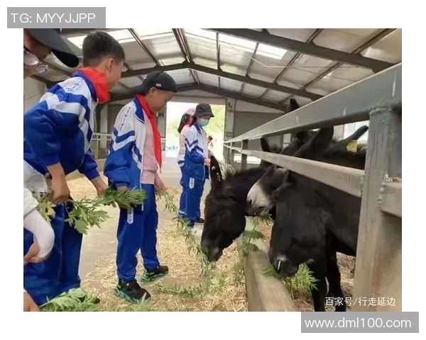 广州飞盘队心理素质分析与提升策略研究